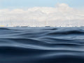 Mooring Field